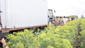 Полицейские Челябинской области продолжают проверку тепличных хозяйств и агрокомплексов