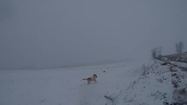 Охота на утку зимой в Канаде 2018 смотреть онлайн