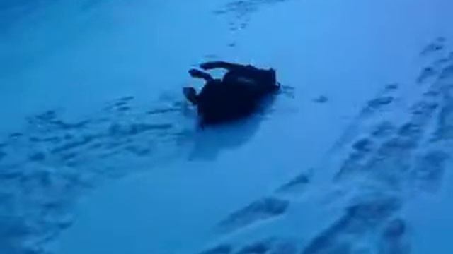 Ротвейлер смотреть онлайн