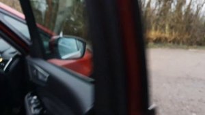 Ford Galaxy 2019