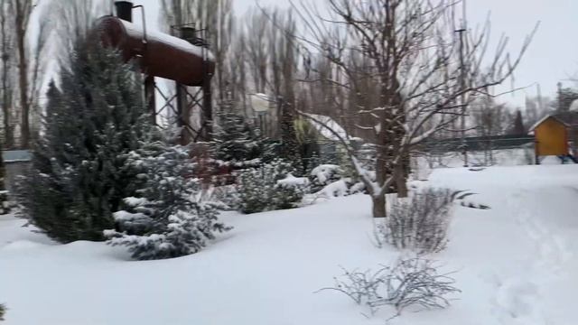 Укрытия не выдержали. Что с розами??? смотреть онлайн