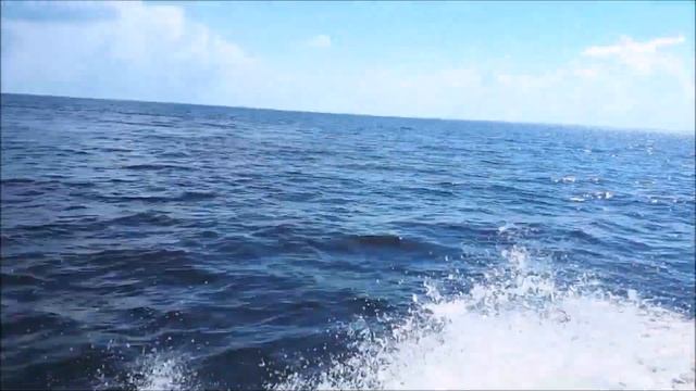 Псковское озеро смотреть онлайн