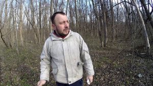 Ловля певчих птиц. Местовые зяблики.