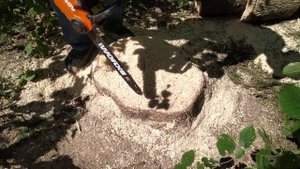 WORX WG384E.9. Аккумуляторная цепная пила в работе, ч.2