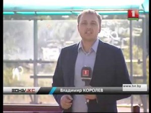 Зверское убийство попало на камеру видеонаблюдения в Минске