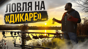 Ловля на «дикаре»! Трофейная рыба, где ты?!