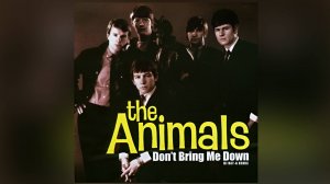 The Animals - Don't Bring Me Down (Dj ray-g remix)