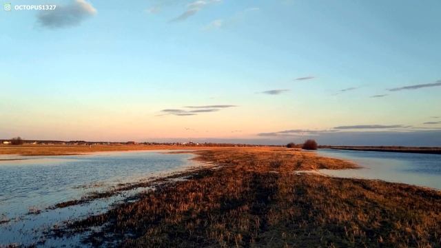 Как взлетают лебеди... смотреть онлайн