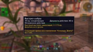 ГАЙД БМ ХАНТ ОХОТНИК ПОВЕЛИТЕЛЬ ЗВЕРЕЙ ПАТЧ 10.2 WOW DRAGONFLIGHT РОТАЦИЯ ТАЛАНТЫ ПЕТ