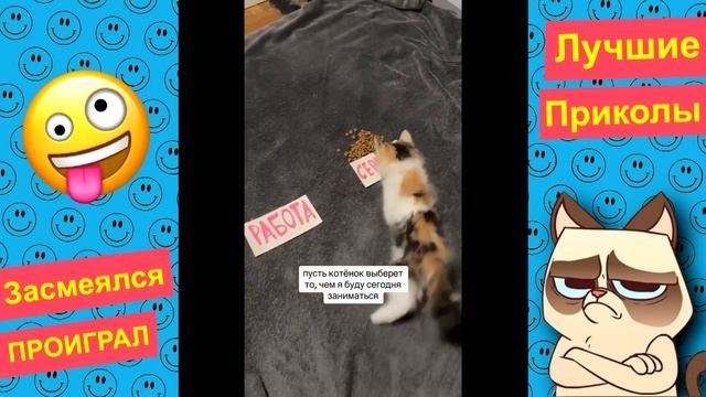 Я РЖАЛ ДО СЛЕЗ? 30 Минут ОТБОРНЫХ ПРИКОЛОВ 2023 Смешные видео - Лучшие ПРИКОЛЫ #79 смотреть онлайн