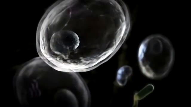 Человек и Вселенная. Макрокосм и Микрокосм #человеквселенная #макрокосммикрокосм смотреть онлайн