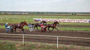 Воронежский ипподром. Конные заезды и концертно-развлекательная программа каждый беговой день