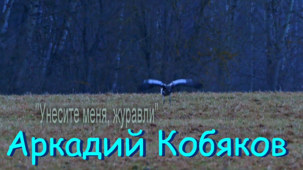 Кобяков песни унеси меня журавли. Кобяков Журавли. Унесите меня Журавли.