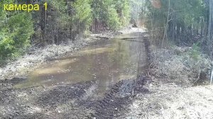 ГУСЕНИЦЫ ПО ЛУЖАМ по ГРЯЗИ по БОЛОТУ прогулочка