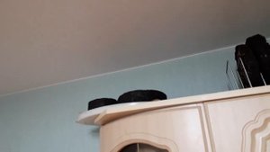 ЯБЛОЧНЫЙ СЫР