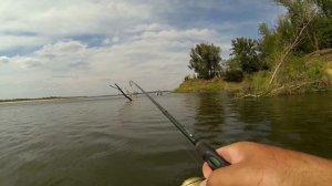 Спиннинг для ловли жереха и селёдки