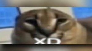 КТО ТАКОЙ ШЛЕПА? КАК ПОЯВИЛСЯ МЕМ ШЛЕПА?