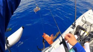 Hawaii Kayak Fishing: Double Yellowfin Tuna and Deep Drop Success! | Gindai + Opakapaka + Hogo