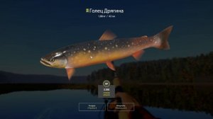 РР4! Тунгуска. Голец Дрягина. Спиннинг!