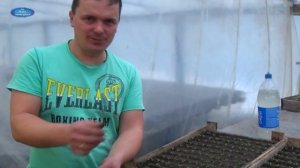 ПОСЛЕДНЯЯ ПИКИРОВКА БАРХАТЦЕВ!