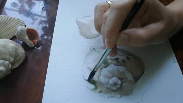 Ракушки акварелью!