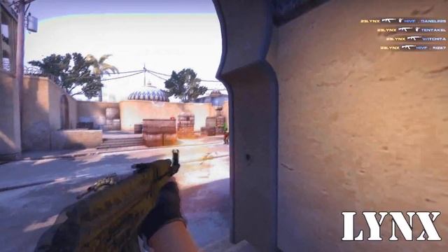 LYnX ACE and VAC смотреть онлайн