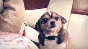 Говорил я вам,не прислушались.Так и получилось как говорил я вам...