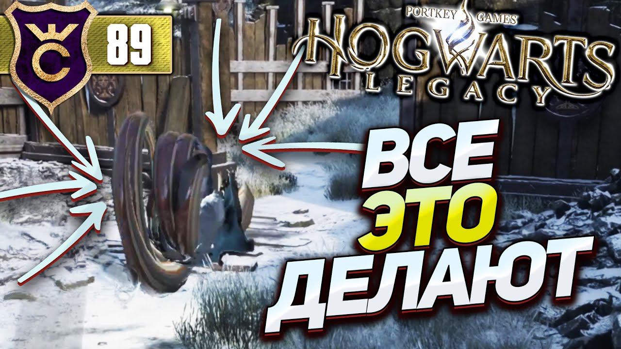 КАЖДЫЙ УМЕЕТ ТЕЛЕПОРТИРОВАТЬСЯ КРОМЕ МЕНЯ! Hogwarts Legacy #89