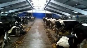 Буинский район  Республика Татарстан (видео 1)