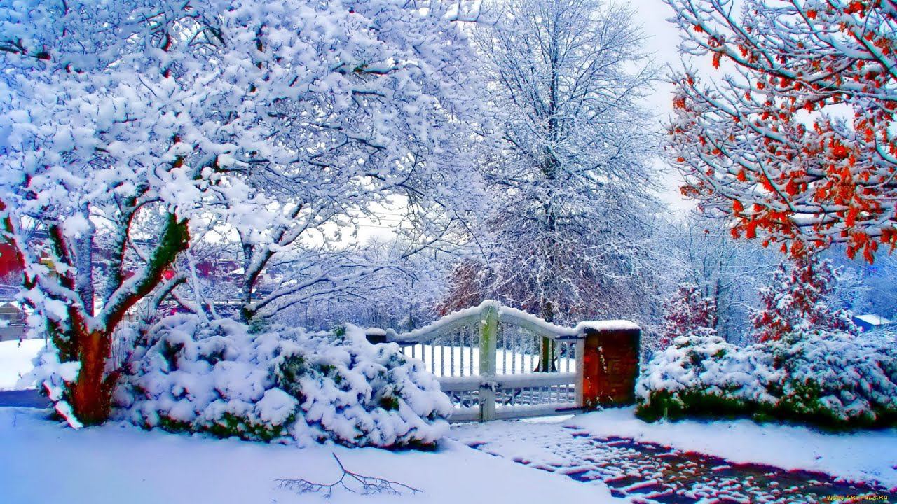 Алексей Глызин-Зимний сад ❄