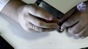 Как разобрать Apple iPhone 6 (A1549, A1586, A1589)?