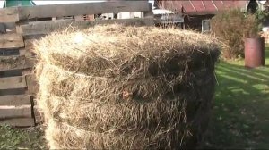 Купили сено.
