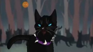 Коты воители Бич. Кровавое племя против Грозового племени.