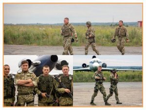 «Нерпы снова в деле!»