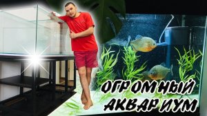 ОГРОМНЫЙ аквариум готов. Тумба под аквариум..mp4