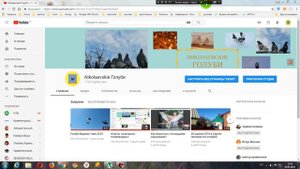 Школа голубевода занятие 7 Подбор голубей