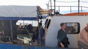 Встреча в море на траверзе Неметского (15.08.2023).