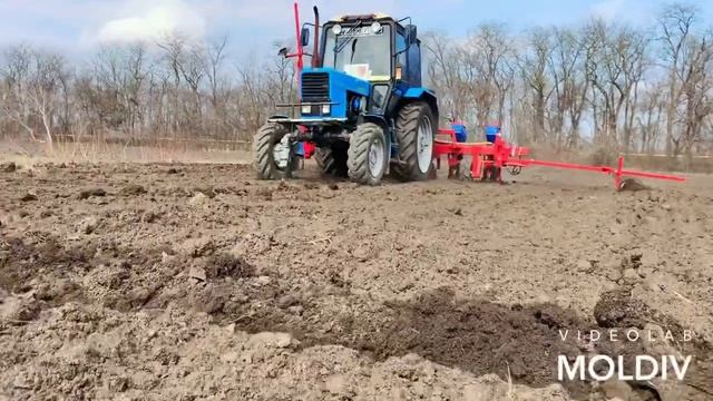 Кукуруза СВИТ НАГГЕТ смотреть онлайн