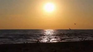 Романс на стихи М. Волошина «Фиалки волн» Музыка Елены Аверьяновой-Логиновой