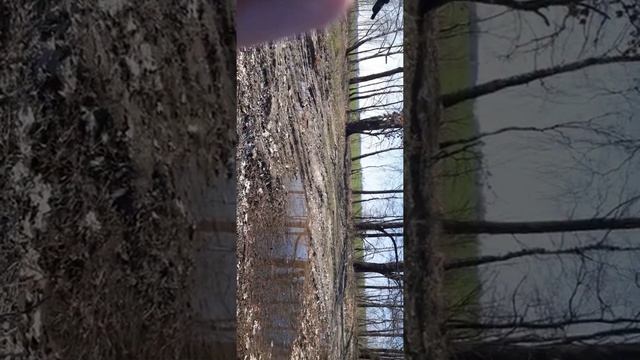 разминка костей перед сезоном смотреть онлайн