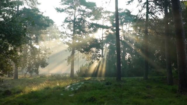 Признание мужа разрушило мою жизнь #историиизжизни