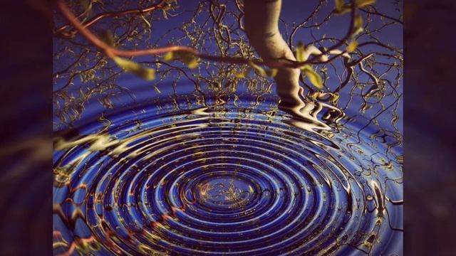 Вводная лекция. ТМ - Трансцендентальная Медитация