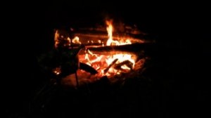 ПОХОД В ЛЕС, РЕКА УНЖА, НОЧЕВКА.