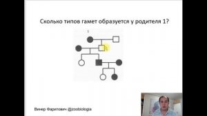 Решение заданий по генетике на родословные