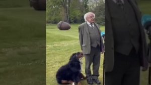 Пёс и его президент Ирландии