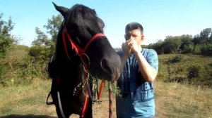 ВЫЙДУ В ПОЛЕ С КОНЁМ на ГУБНОЙ ГАРМОШКЕ