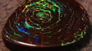 Интересные факты о дендролите. Окаменелое дерево. Магия и лечение. Какому Знаку Зодиака подходит.