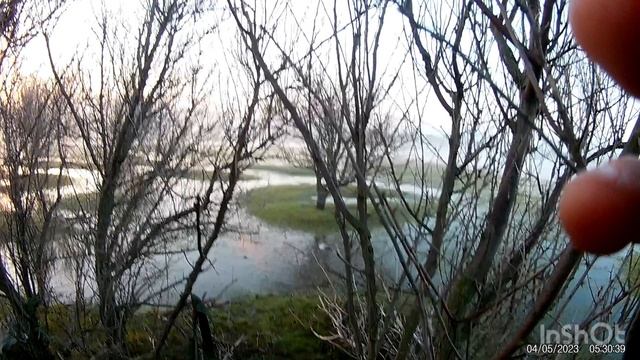 Королевский выстрел!2023 весна смотреть онлайн