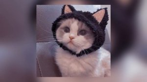 ꨄПлейлист что бы сидеть или танцевать вечером на кухне ꨄ