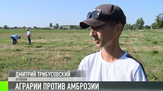 На полях уничтожают амброзию смотреть онлайн